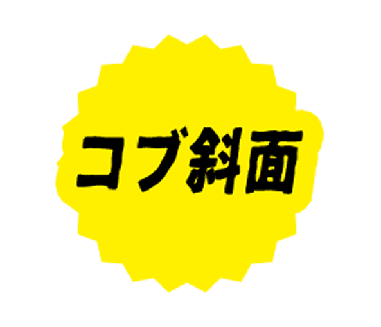 コブ斜面