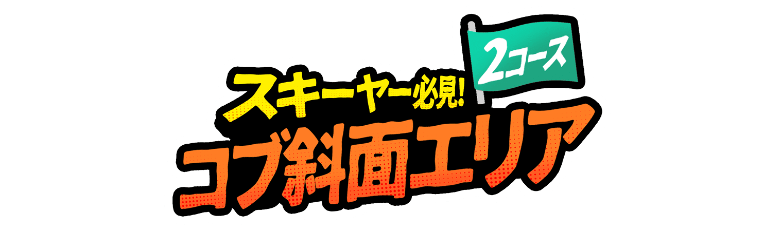 スキーヤー必見！コブ斜面エリア