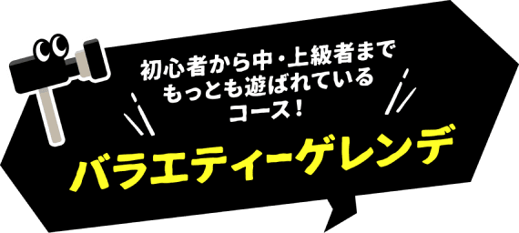 バラエティゲレンデ