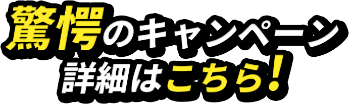 驚愕のキャンペーン詳細はこちら！